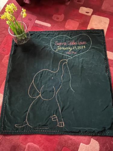 The elephant welcomes Sienna. Beautiful dark green velvet with a polyester filling. Customized to add details. Will fit a stroller, a pram or a car seat. 